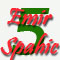 Emir Spahic