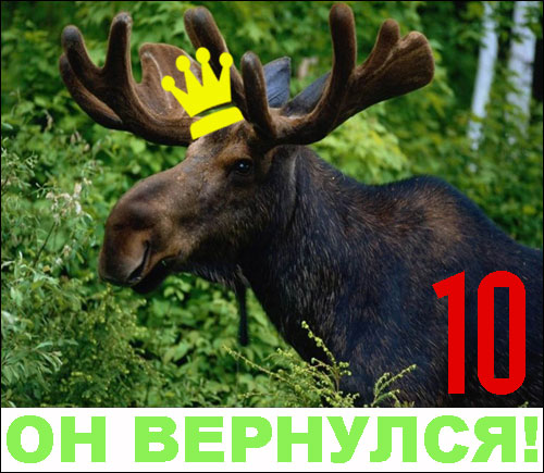 10
