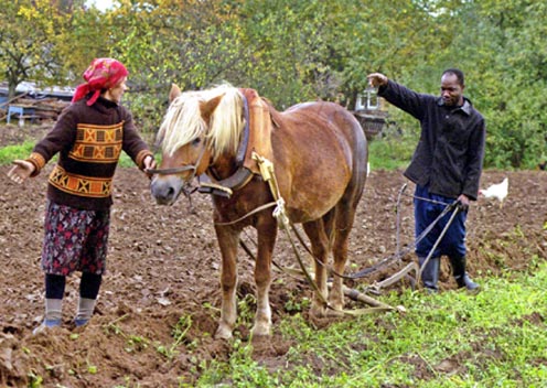 А здесь меня пригласили играть в футбол в Россию и обманули